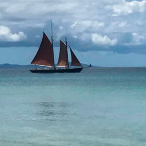 Package Snorkeling Guided Tour